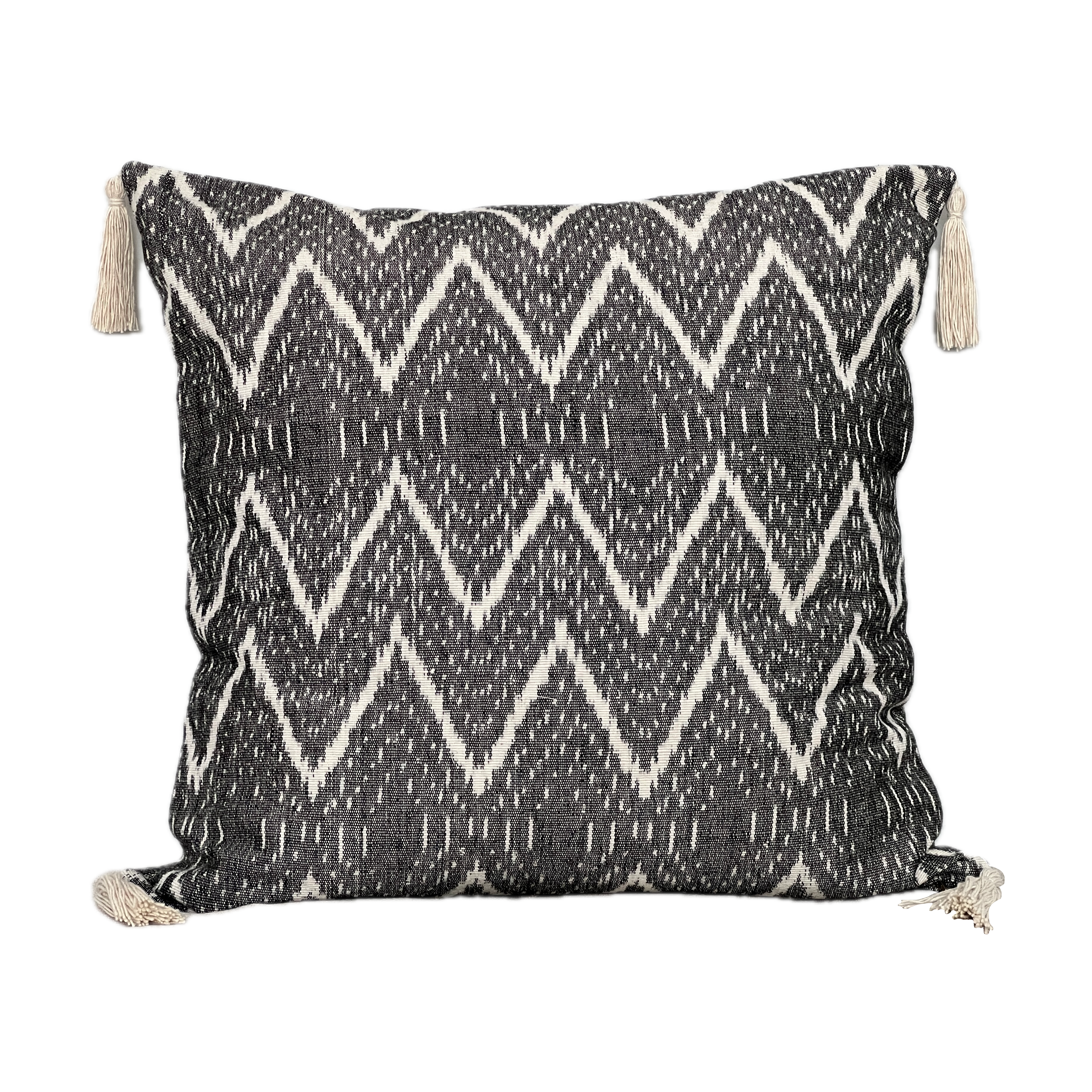 KAT Tassel Pillow Cover