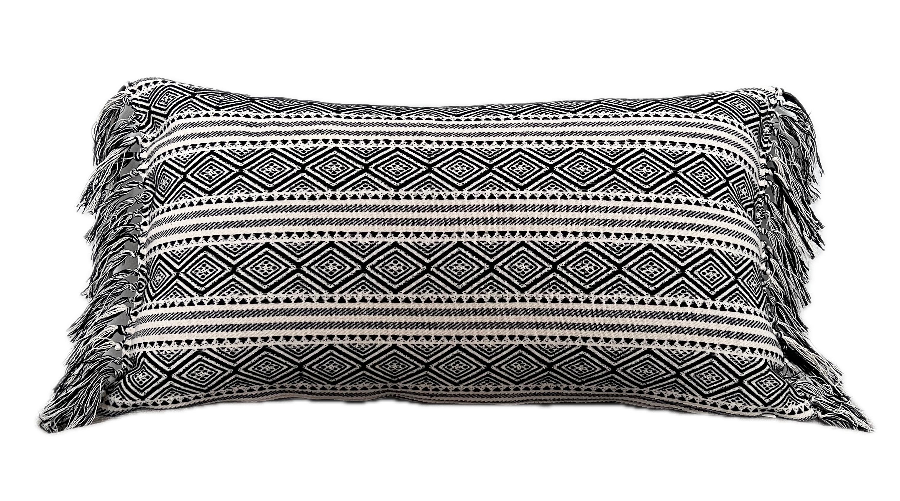 AZA Fringed Pillow Cover